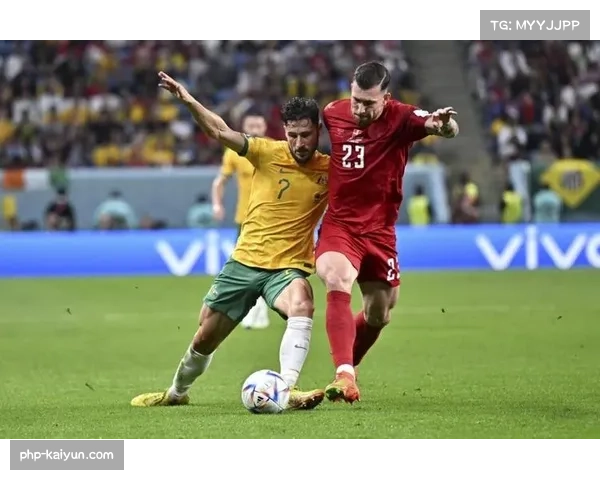 阿根廷9分比利时6分突尼斯3分 D组晋级